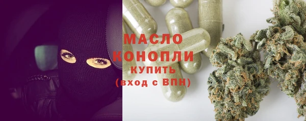 ПСИЛОЦИБИНОВЫЕ ГРИБЫ Вяземский