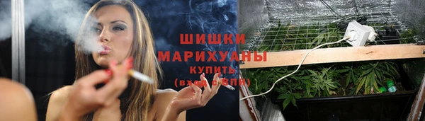 шишки Вязьма