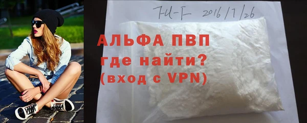 ПСИЛОЦИБИНОВЫЕ ГРИБЫ Вяземский