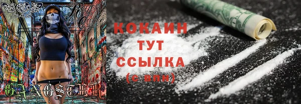 шишки Вязьма