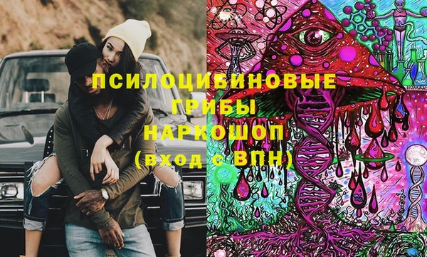 шишки Вязьма