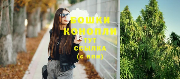 ПСИЛОЦИБИНОВЫЕ ГРИБЫ Вяземский