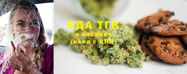 ПСИЛОЦИБИНОВЫЕ ГРИБЫ Вяземский